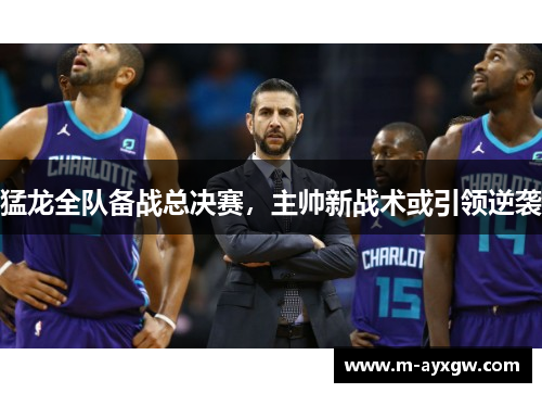 猛龙全队备战总决赛，主帅新战术或引领逆袭