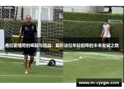 弗拉霍维奇的崛起与挑战：解析这位年轻前锋的未来发展之路