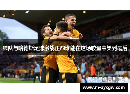 狼队与哈德斯足球激战正酣谁能在这场较量中笑到最后